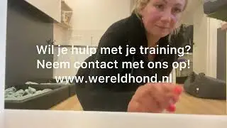 Wereldhond Ringtraining Werken met het nare showlijntje www.wereldhond.nl