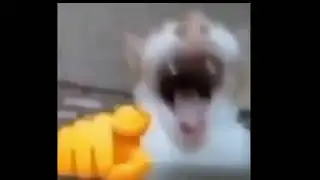 🌚Dont  touch here🌝