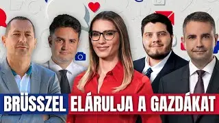 Komment - HírTV