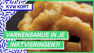 Waar worden inktvisringen echt van gemaakt? | KVW KORT #34 | NPO 3