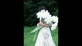 balloon daisy flower #balloon #flower #balloondecoration #floweringplant #decoration