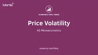 Causes of Price Volatility
