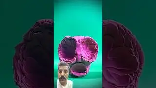 CLAMATION STOPMOTION VIDEO SHORTS #animation #claymotion #clayanimation #morph
