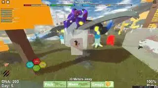 Lucas Tha Kittygator fight
