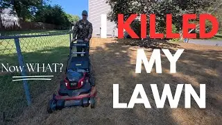 I KiILLED My Lawn!! // Lawn Reno Round 2
