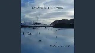 Psalms Intro