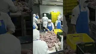 chicken meat processing #chicken#meat#grill#friedchicken#cutmeat
