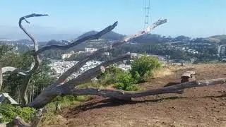 Urban Hikes with Michelle: Episode 3 - Mount Davidson and Stern Grove