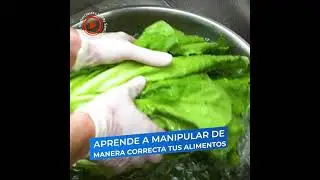 Como Manipular LOS ALIMENTOS DE TU FAMILIA CON SEGURIDAD. Curso 100% Online. Aprende y Emprende.