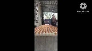 Sonarpur Kolkata West Bengal Gur batasa Production Machine -8918766113/7872526552