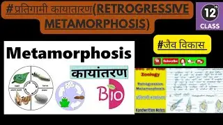 प्रतिगामी कायंतरण || Retrogressive Metamorphosis in hindi || jaiv vikas class 12th biology tippadi |