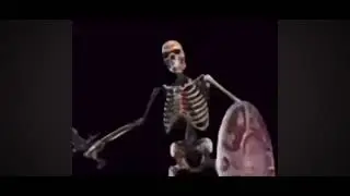 Pov: me after the verif update