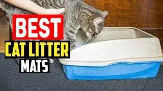 ✅Top 5 Best Cat Litter Mats in 2025
