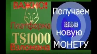 ВАЖНАЯ ИНФОРМАЦИЯ! Платформа TS1000 была взломана. Получаем новую монету HDR, на кошелек WAVES