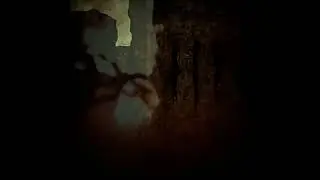 Autor - Rezonans