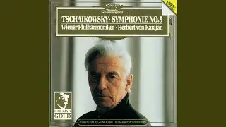 Tchaikovsky: Symphony No. 5 in E Minor, Op. 64: I. Andante – Allegro con anima