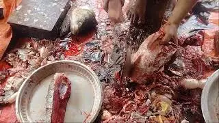 মাছ কাটিং