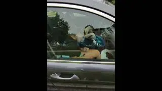 A couple | SLUMPEDD | while their vehicle is ON! #somepeopleskids #nodded #slumped #carnap