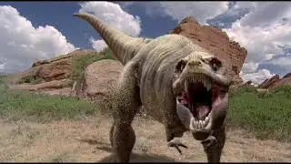 BBC Life in cold Blooded 