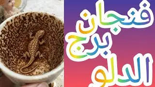 فنجان برج الدلو خروج طرف ثالث رجوع الاكس نادم مقابله قويه واحتفال ثبات انفعال رجوع للمنفصلين نصره 