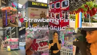 A Sweet Day in Cameron Highlands| 🍓😻نهار حلو في ماليزيا | جولة في منزل كراء جبلي وسط الطبيعة #shorts