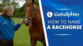 Staff Stories | How to Name a Racehorse