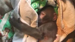 悲劇が起きてしまいました