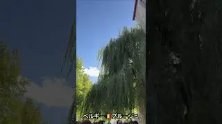 作曲家 八木澤教司の旅