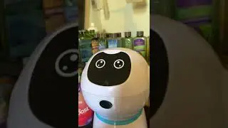 alimentador automatico para mascotas