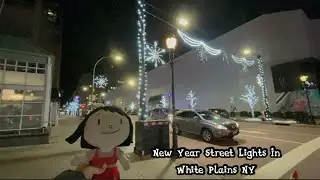 Elinor & Friends New Year and OMNY Bee Line Launched Street Light Colors In White Plains NY EP 4055