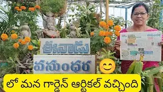 వసుంధరలో గార్డెన్ ఆర్టికల్ వచ్చింది, 16/12/2025 తేదీన డిజిటల్ లింకు డిస్క్రిప్షన్ లో ఇస్తాను చూడండి🙏