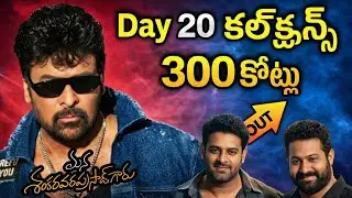 Mana Shankara Vara Prasad Garu Box Office Collection | Megastar Power Shocks the Industry!