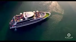 Stellar of the Seas Cruise