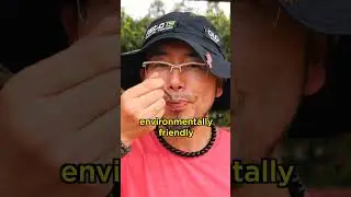 How This Guy Cleaned a Lake!