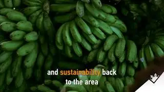 Back to Nature - Post Mining Rehabilitation