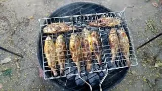 Charcoal grilled Yellow croaker marinated in sambal .