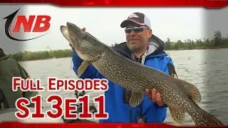 Rainy Lake Pike on Jerk Baits (Season 13 Ep 11)