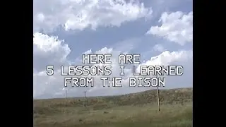 5 LESSONS I LEARNED FROM THE BISON