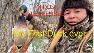 My First Duck ever  middle Tennessee