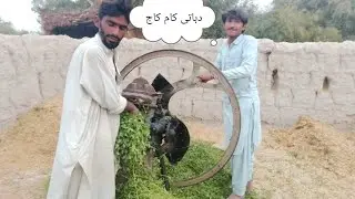 🌵🪴Dehati kam Aaj 🌄🌄
