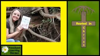 Rooted in Christ object lesson for kids
