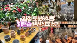 식물과 토분으로 힐링하세요!! 감성 꽃집 지앤숍!! 랜선 식물쇼핑!!