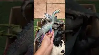 Dinosaur Jurassic World Toy In The Box ASMR Review