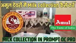Milk Collection in Prompt Dp pro || Amul dairy mai milk collection kaise kare