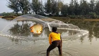 Cast Net fhising Village Net fhising Fishermen fasting Chandna Fhising video 🐠😱