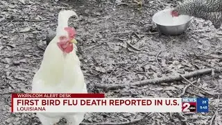 First U.S. bird flu death reported in Louisiana