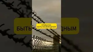 Мини-аудио-сериал 