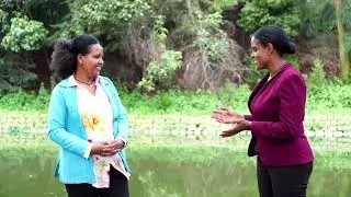 ሌላኛው ፍሳሽ የማጣራት ሂደት