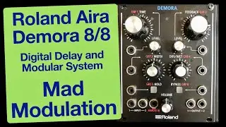 Roland Aira Demora Delay: Mad Sequencing and Modulation
