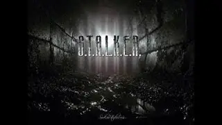Stalker online